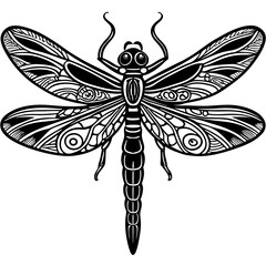 Dragonfly with detailed wings and delicate body segments. vector