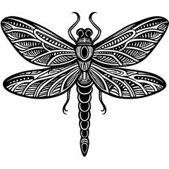 Dragonfly with detailed wings and delicate body segments. vector