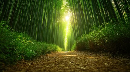 20. A path through a dense bamboo forest, with tall green stalks towering overhead, casting soft shadows on the forest floor