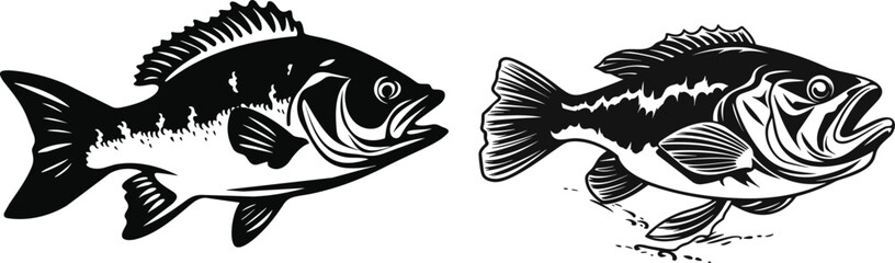  Largemouth engraving style Bass is a classic Black and White Vector illustration.