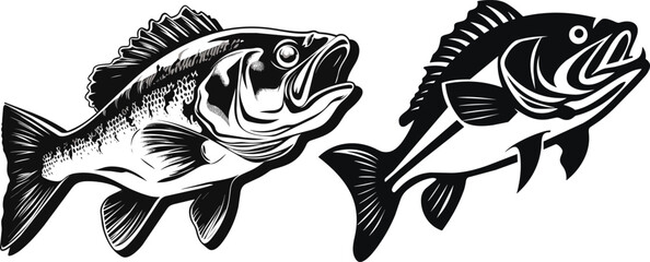 Monochrome Bass Fish Engraving Hand Drawn Vector Illustration