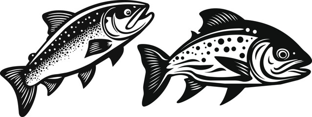 Set of Salmon Fish Engraving  Hand Drawn vector illustrations.