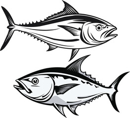 Set of  Hand Drawn Tuna Fish vector Illustrations.