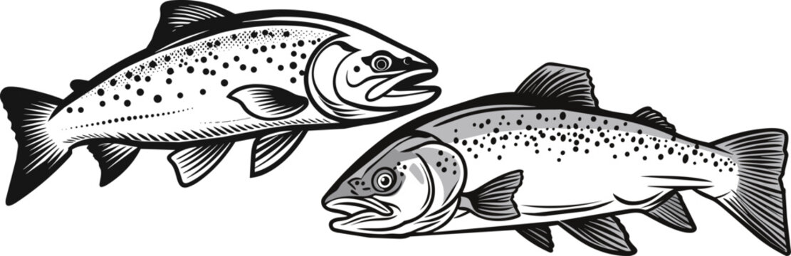 black and white fish, spotted, swimming clip art preview