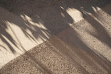 Overlay of natural leaf shadow on textured background, to overlay on product presentation, background and layout, summer season concept