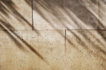 Overlay of natural leaf shadow on textured background, to overlay on product presentation,...