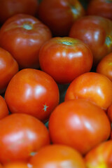 Close up of a group of red tomatoes, densely packed with some tomatoes in focus at the front and others gradually blurring into the background. Tomatoes have a shiny surface indicating they are fresh
