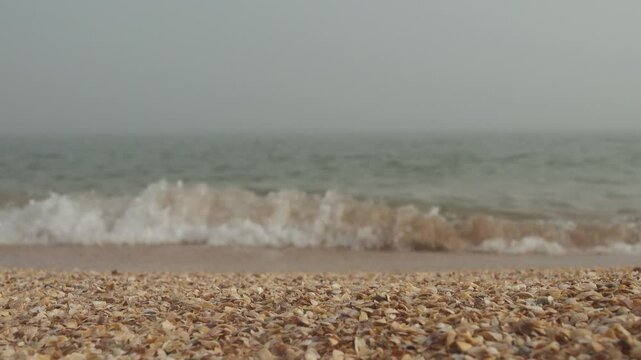 Mother-of-pearl sea surf. A quiet foggy sea, sandy-shell beach, the sun breaks through the fog and colors the crest of the rolling waves
