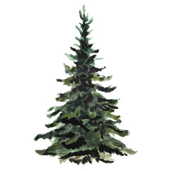 Watercolor illustration of an isolated Christmas tree on a white background