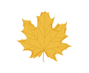 Autumn leaf icon