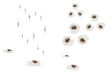 Bird pigeons droppings. On isolated transparent background.