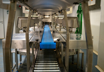 fruit and vegetable packing line
