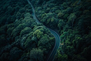 A winding road through a forest with trees on both sides