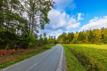 Rural asphalt road through forest and field in early autumn with vibrant green and yellow foliage. Sweden.