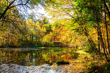 秋のちどり池　乗鞍高原