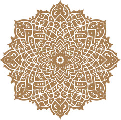 Colorful mandala design vector style