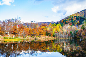 秋の乗鞍高原　まいめ池