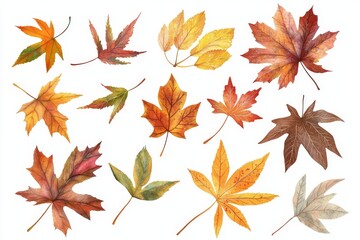 Falling autumn leaves on a black background, full color foliage in the autumnal season.