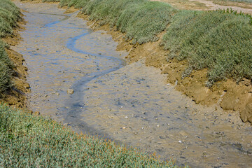 Réserve Naturelle Nationale de la Baie de Somme vue depuis Le Hourdel