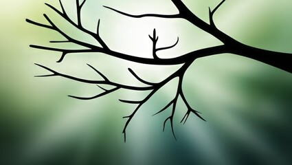 Fototapeta premium silhouette of a tree branch