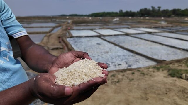 Bangladeshi man showing salt in his hand, Chittagong, Maheshkhali, Bangladesh