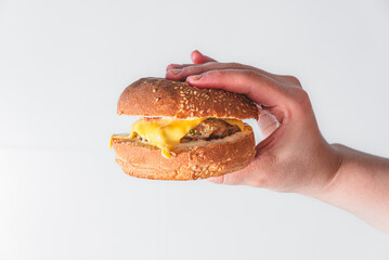 Cropped hand holding burger against white background