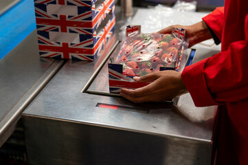 lady working on fruit packing line