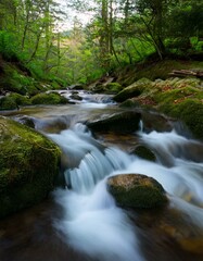 Fototapeta premium Beautiful landscape with a waterfall flowing in green forest, long exposure. 