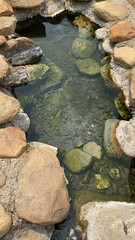stones in the water