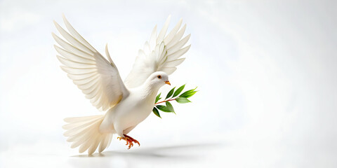 Obraz premium Flat Isolated Peace Dove Vector with Olive Branch - Symbolizing Freedom and Human Rights Day in Clean Minimalist Design for Infographics