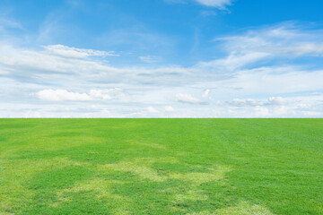 Landscape view of Green grass field under the blue sky background
