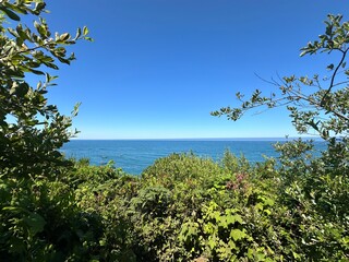 beach with palm trees