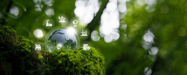 Crystal ball on moss in green forest - environmental concept with sustainable green building icons. Eco-friendly building. Future green business concept. Environmental sustainability goals by 2050.