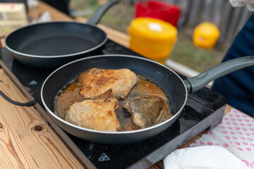 Frying fish fillets on a portable cooking stove during an outdoor gathering in a park on a sunny day
