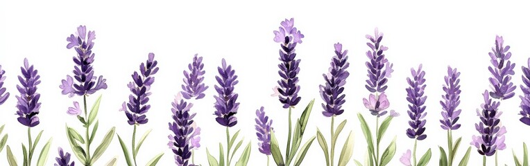 Fototapeta premium Beautiful lavender flower pattern with soft purples and greens, botanical style