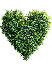 Heart shape made of green plants and leaves, symbolizing love for nature on a white background. PNG transparent.