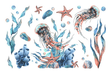 Fototapeta premium Underwater world clipart with sea animals jellyfish, starfish, pebbles, bubbles, coral, sponge and algae. Hand drawn watercolor illustration. Set of elements isolated from the background