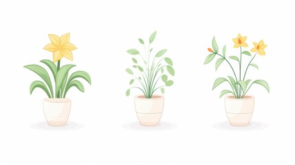 Beautiful collection of potted plants featuring vibrant flowers and lush greenery, perfect for home decor and botanical design.