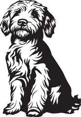 sitting goldendoodle dog