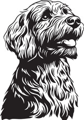 black and white goldendoodle illustration