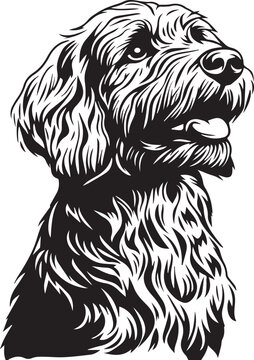black and white goldendoodle illustration