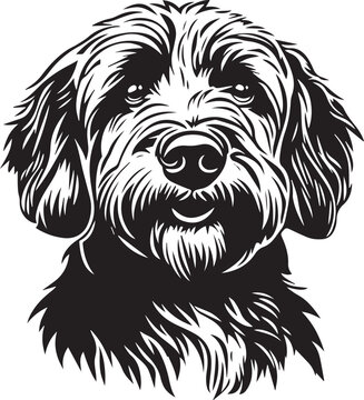 goldendoodle dog portrait