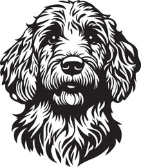 goldendoodle dog breed dog