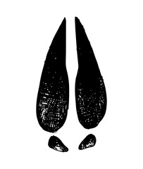 Deer - paw print vector illustration