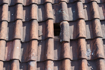 Weathered Terracotta Roof with Missing Tiles
