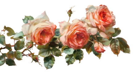 PNG  Roses painting roses art.