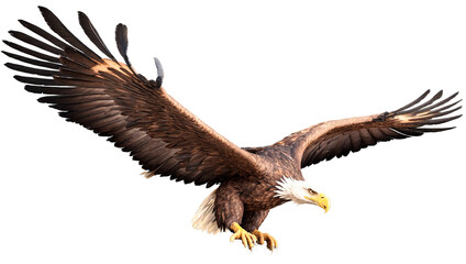 Fototapeta premium A fierce eagle flying, 3d render, transparent background