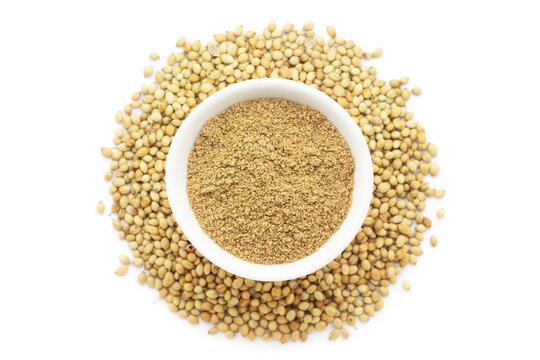 A bowl of Organic Coriander (Coriandrum sativum) powder, placed over a heap of whole Coriander seeds. Isolated on a white background.