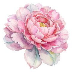 A watercolor painting of a pink flower with a green stem