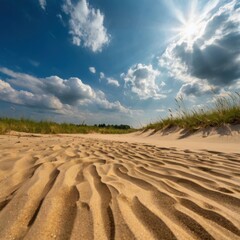Fototapeta premium sand dunes in the desert